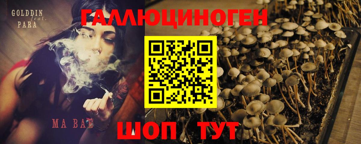 Галлюциногенные грибы GOLDEN TEACHER Советский