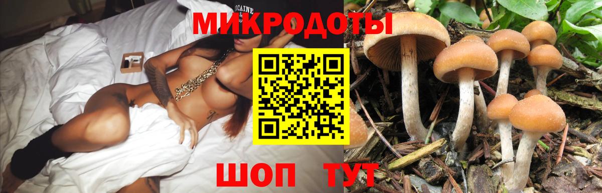 Псилоцибиновые грибы мухоморы  Вход с VPN  Советский  Псилоцибиновые грибы Psilocybe 