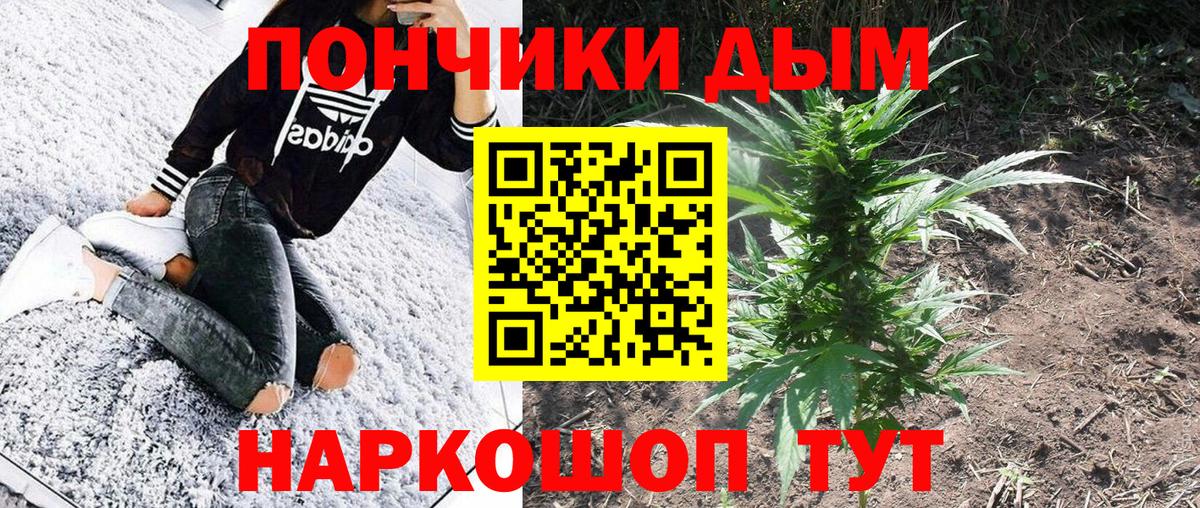 Канабис Amnesia  Бошки Шишки сатива  Советский  Вход с VPN 